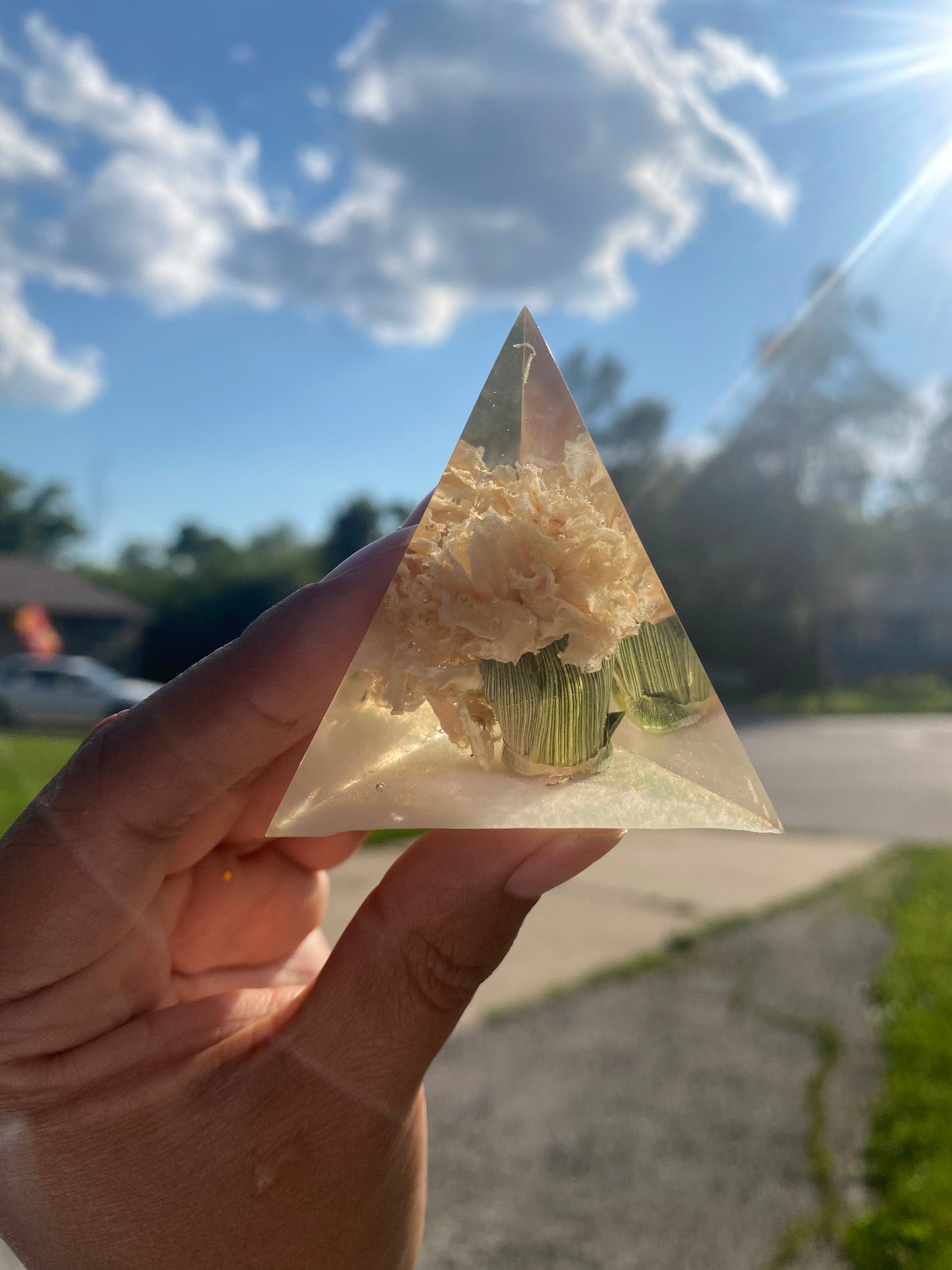 Small Triangle Flower Preservation
