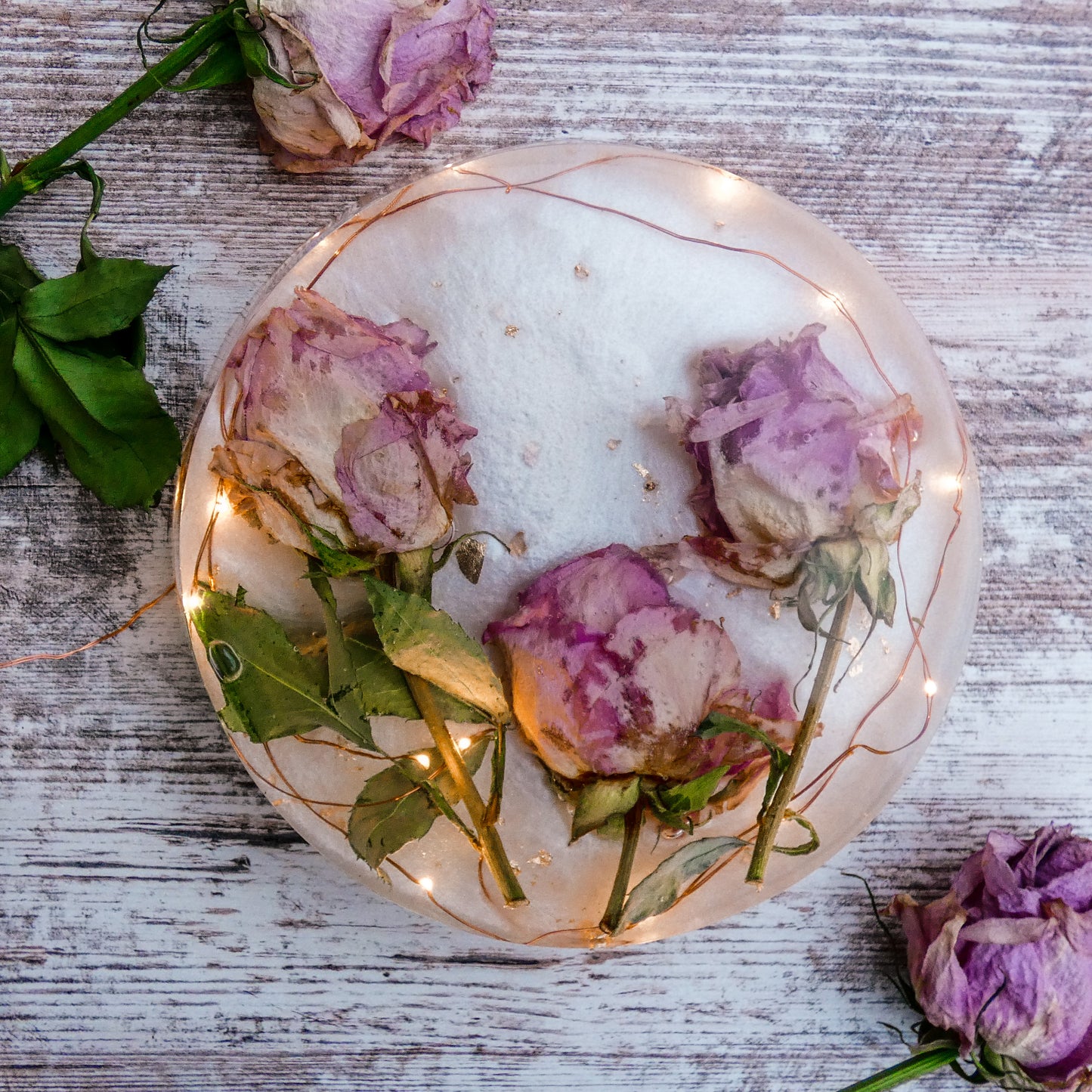 Circle Flower Preservation