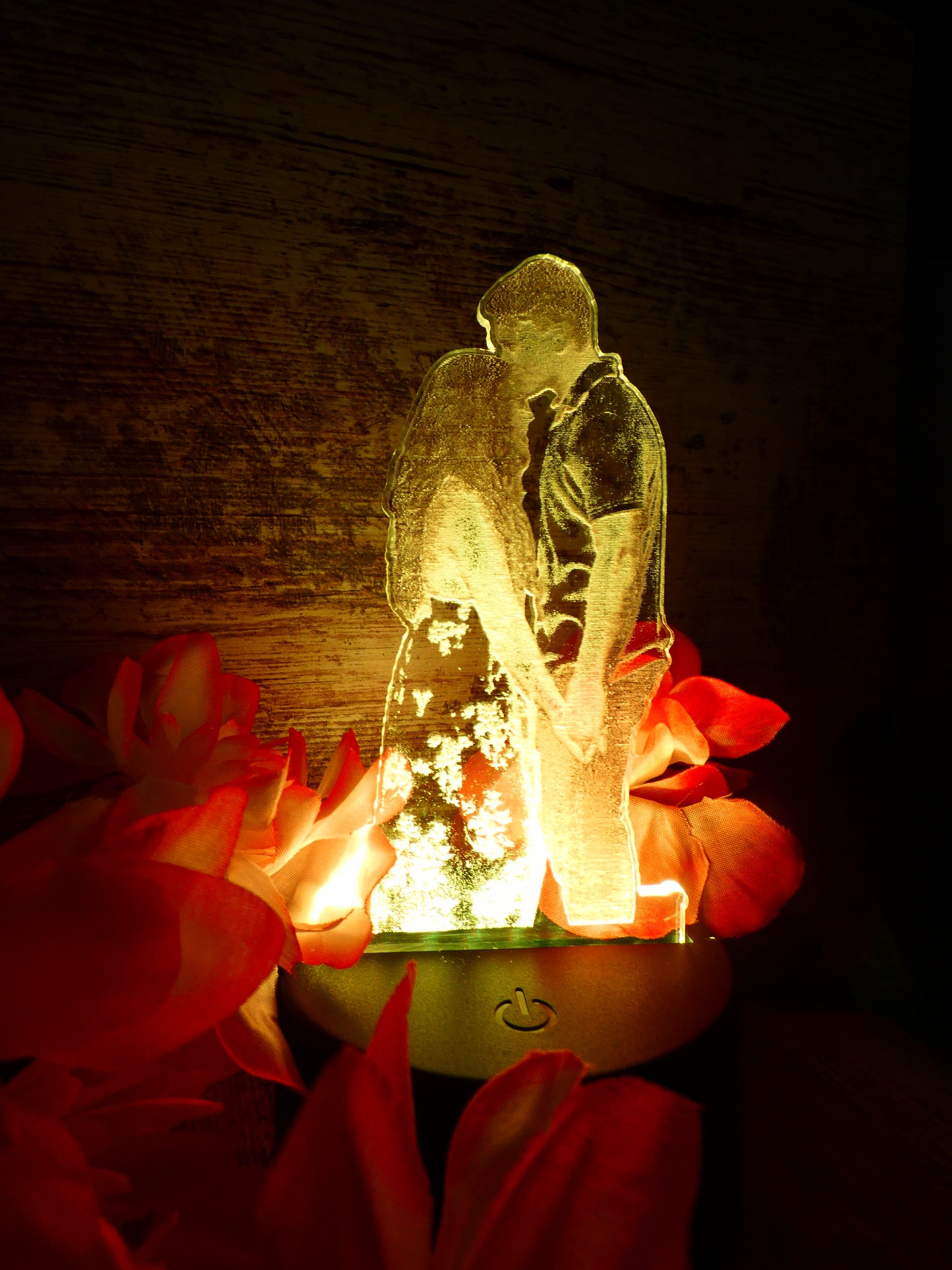 LED Portraits