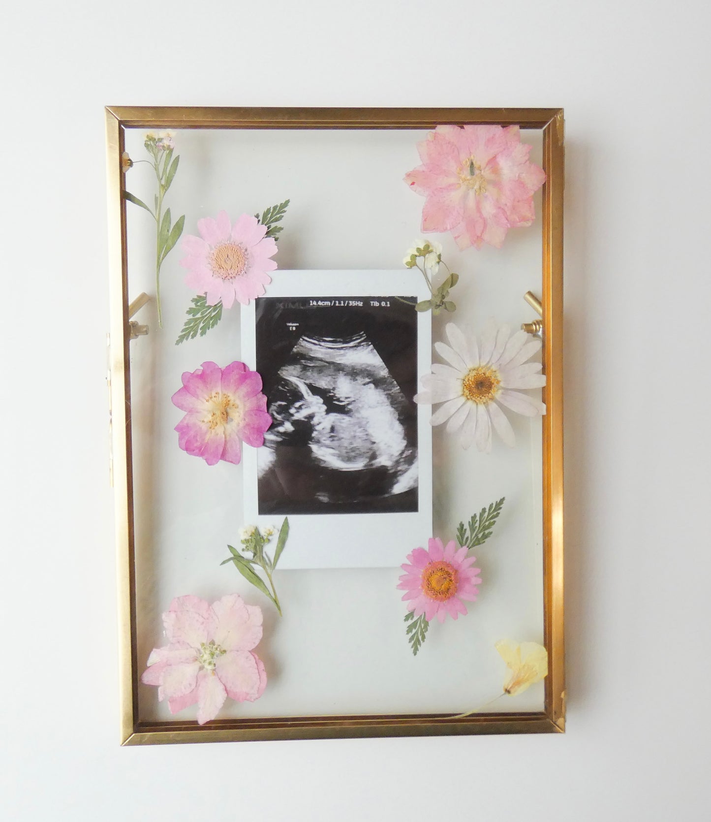 Pressed Flowers Picture Frames